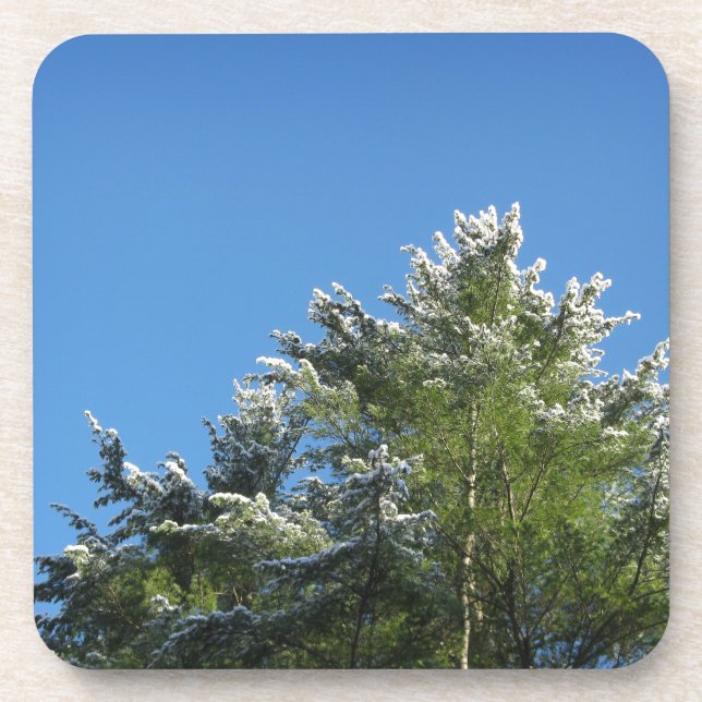 Schneebedeckter Kiefernbaum auf blauem Himmel Untersetzer (Vorderseite)