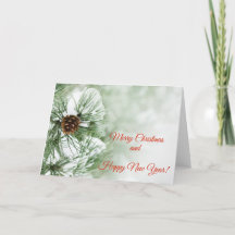 Schneebedeckter Kiefernbaum