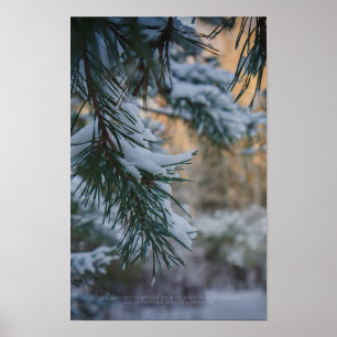 Schneebedeckter Kiefernbaum im Winterwald Poster