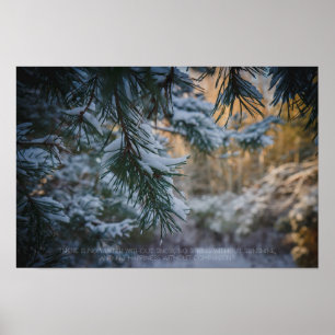 Schneebedeckter Kiefernwald Poster