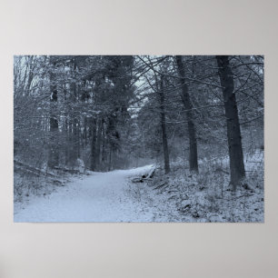Schneebedeckter Wanderweg 1 Poster