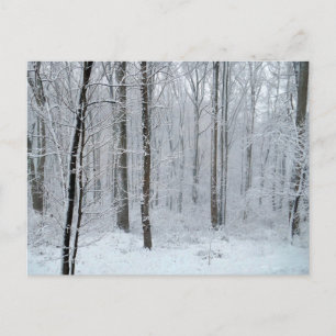 Schneebedeckter Weißpappelwald Postkarte