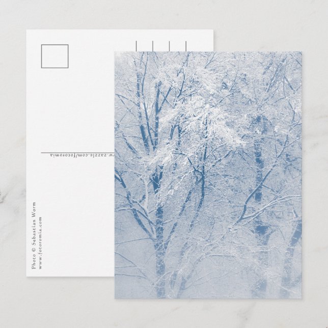 Schneebedecktes Foto Bäume Winter Postkarte (Vorne/Hinten)