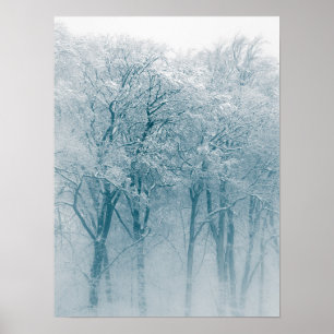 Schneebedecktes Foto für Bäume Poster