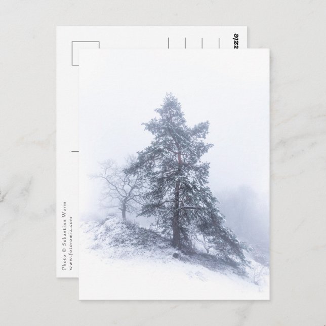 Schneebedecktes Foto Tree Winter Postkarte (Vorne/Hinten)