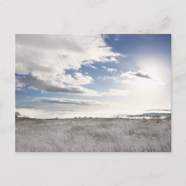 schneebedecktes Grasfeld Postkarte (Vorderseite)