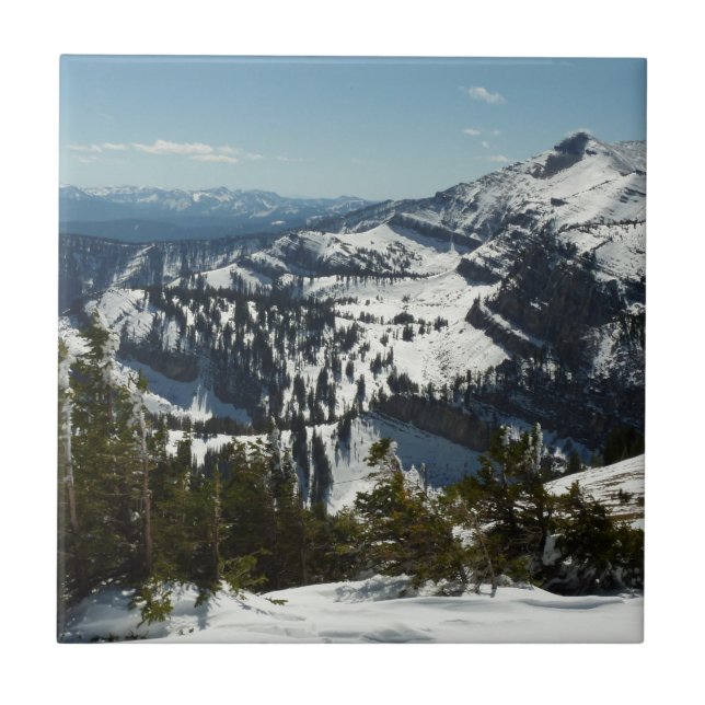 Schneebedeckungen des Grand Teton Mountains II Fot Fliese (Vorderseite)