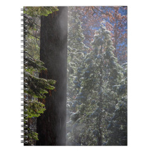 Schneebelagener Nebel im Wald Notizblock