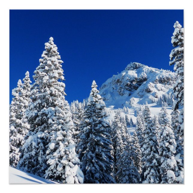 Schneeberg Poster (Vorderseite)