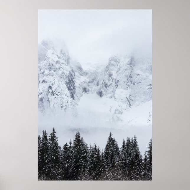 Schneeberge und Fichtenwald Poster (Vorne)
