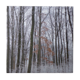 Schneebestäubter Wald Winterlandschaftsfotografie Fliese