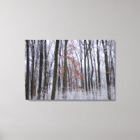 Schneebestäubter Wald Winterlandschaftsfotografie