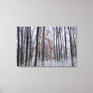 Schneebestäubter Wald Winterlandschaftsfotografie Leinwanddruck