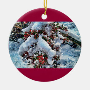 Schneebilder auf einem orniment keramik ornament