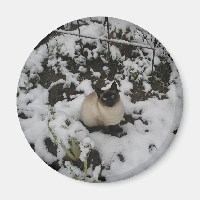 Schneebilder, Schneekatze Magnet (Vorne)