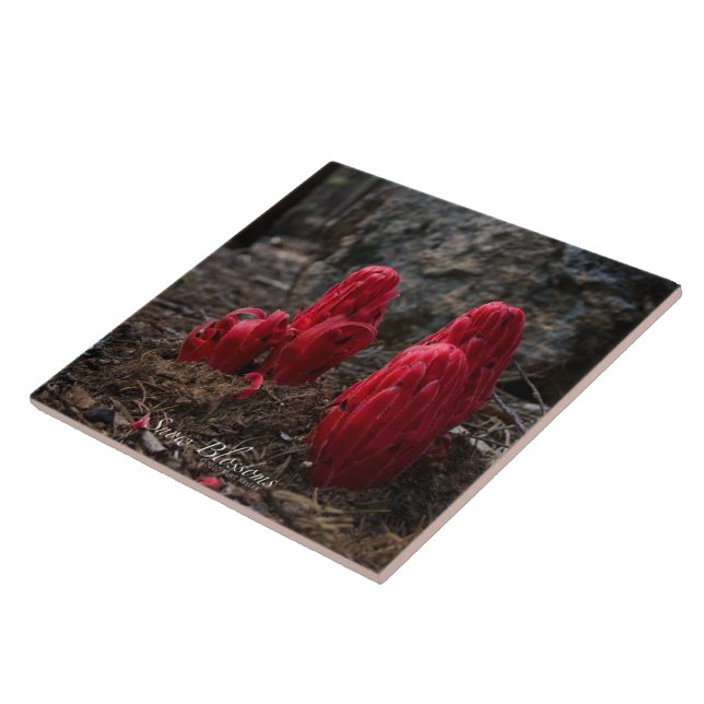 Schneeblocken Fliese (Seite)