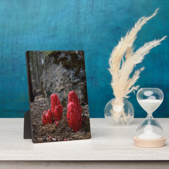 Schneeblocken Fotoplatte (Seite)