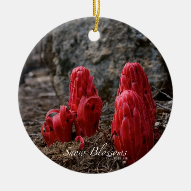 Schneeblocken Keramikornament (Vorne)