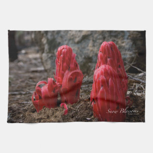 Schneeblocken Küchentuch