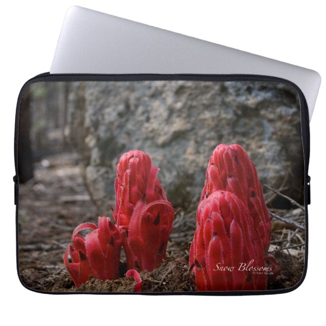 Schneeblocken Laptopschutzhülle (Vorderseite)