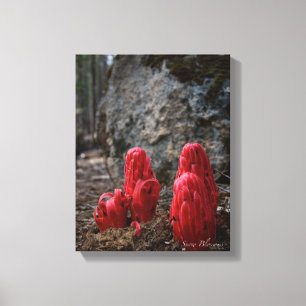 Schneeblocken Leinwanddruck