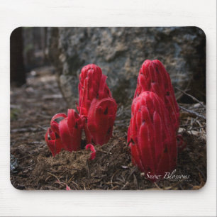 Schneeblocken Mousepad