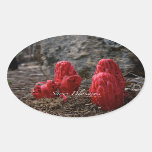 Schneeblocken Ovaler Aufkleber