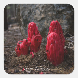 Schneeblocken Quadratischer Aufkleber