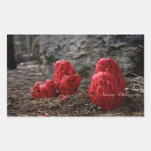 Schneeblocken Rechteckiger Aufkleber