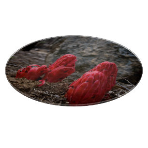 Schneeblocken Schneidebrett