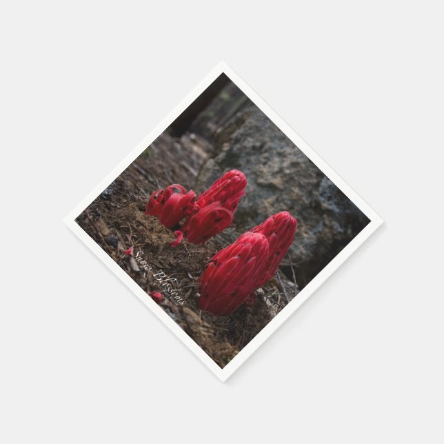 Schneeblocken Serviette (Ecke)