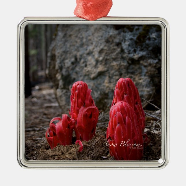 Schneeblocken Silbernes Ornament (Vorne)