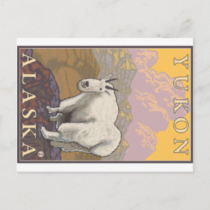Schneebock - Yukon, Alaska Postkarte