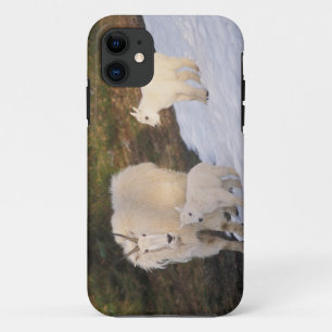 Schneeböcke iPhone 11 Hülle