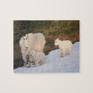 Schneeböcke Puzzle