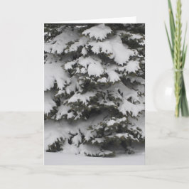 Schneebründe Faltenkarte Feiertagskarte