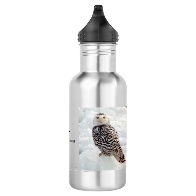 Schneedecke Edelstahlflasche (Rechts)