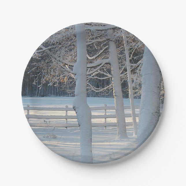 Schneedecke Pappteller (Vorderseite)