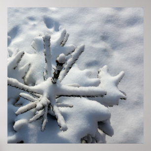 Schneedecke Poster