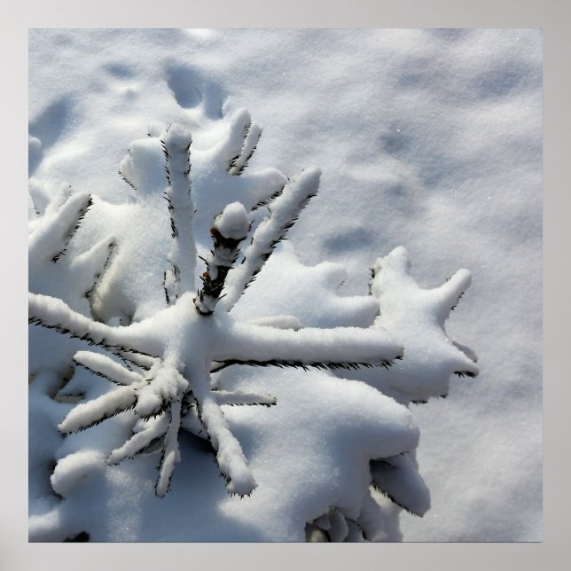 Schneedecke Poster (Vorne)
