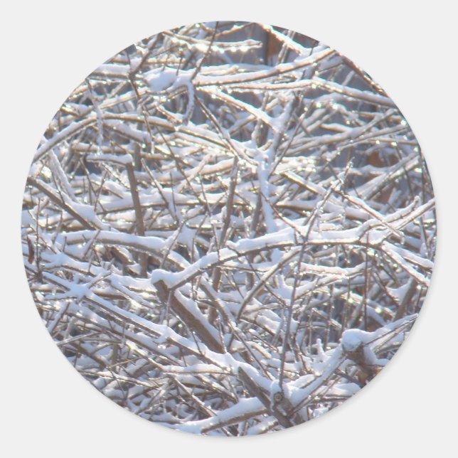 Schneeeiszweige im Winter Runder Aufkleber (Vorderseite)