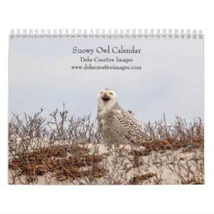 Schneeeule 2026 kalender