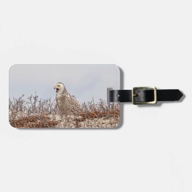 Schneeeule am Strand Gepäckanhänger (Vorderseite horizontal)
