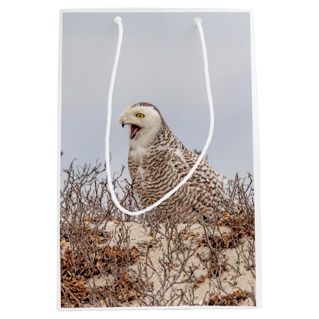 Schneeeule am Strand Mittlere Geschenktüte (Vorderseite)