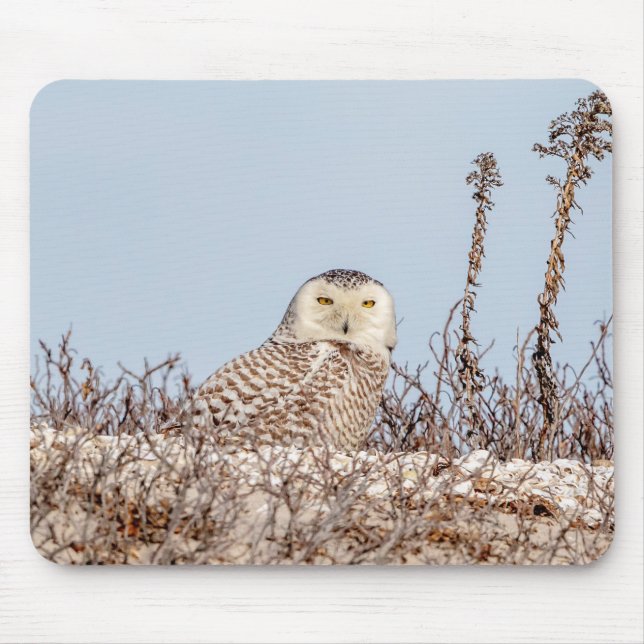 Schneeeule am Strand Mousepad (Vorne)