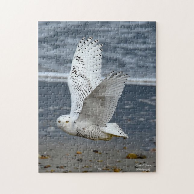 Schneeeule am Strand  Puzzle (Vertikal)
