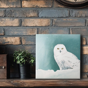 Schneeeule Arktischer Winterhimmel Schnee Teal Fliese