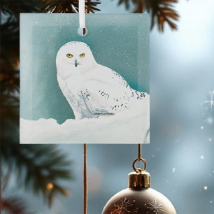 Schneeeule Arktischer Winterhimmel Schnee Türkis Ornament Aus Glas