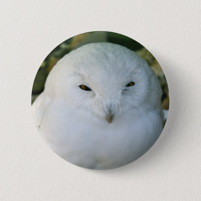 Schneeeule Button (Vorderseite)