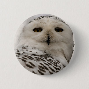 Schneeeule Button
